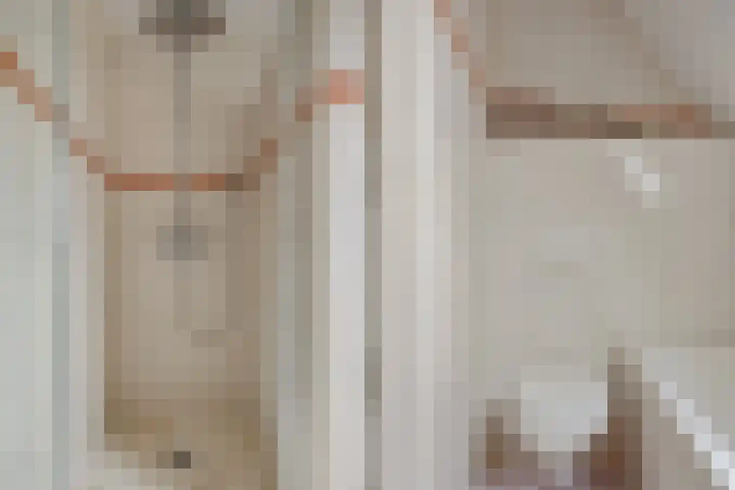 Slauerhofflaan 1 c Raamsdonksveer thumbnail 32