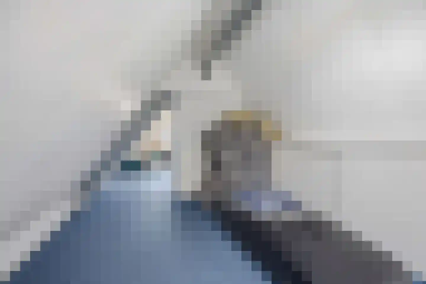 Slauerhofflaan 1 c Raamsdonksveer thumbnail 33
