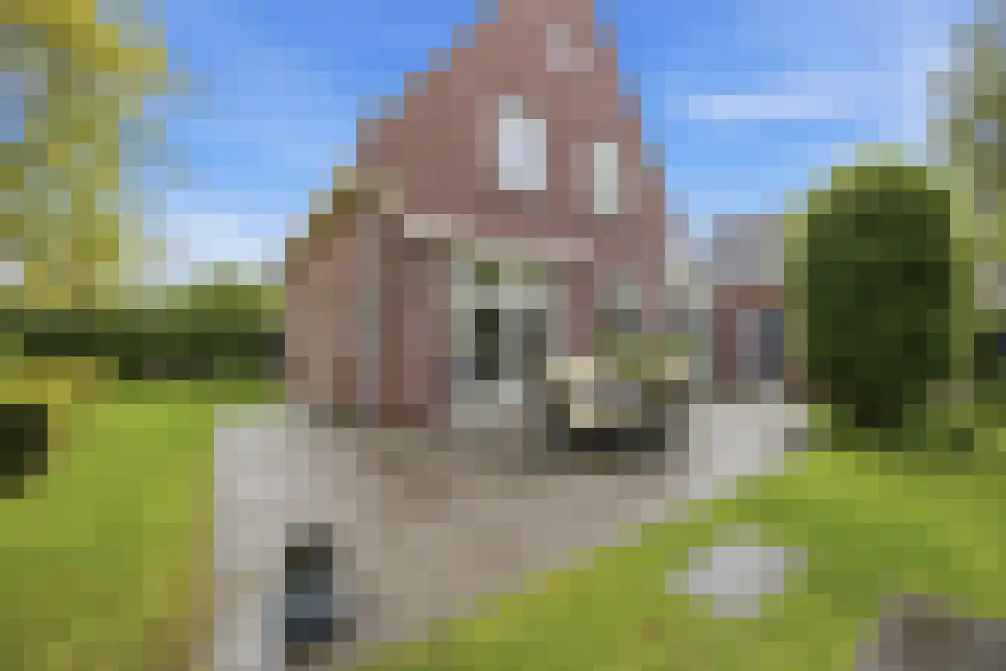 Slauerhofflaan 1 c Raamsdonksveer thumbnail 36