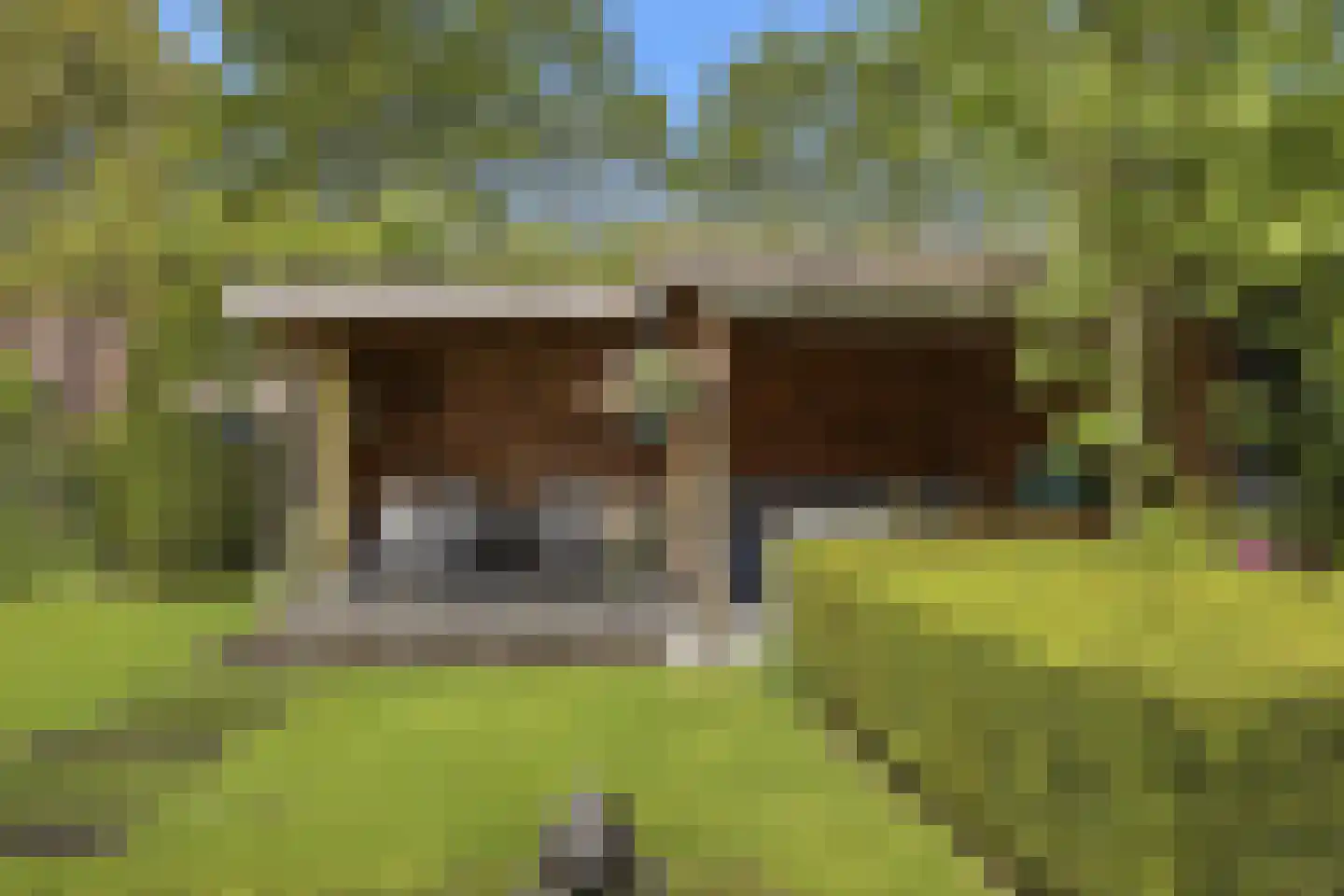 Slauerhofflaan 1 c Raamsdonksveer thumbnail 43