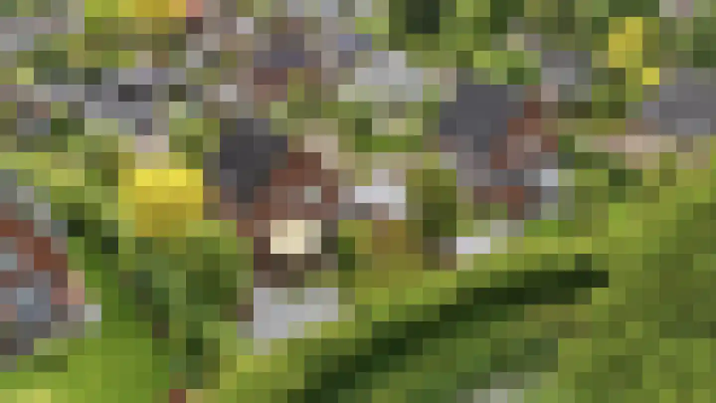 Slauerhofflaan 1 c Raamsdonksveer thumbnail 46
