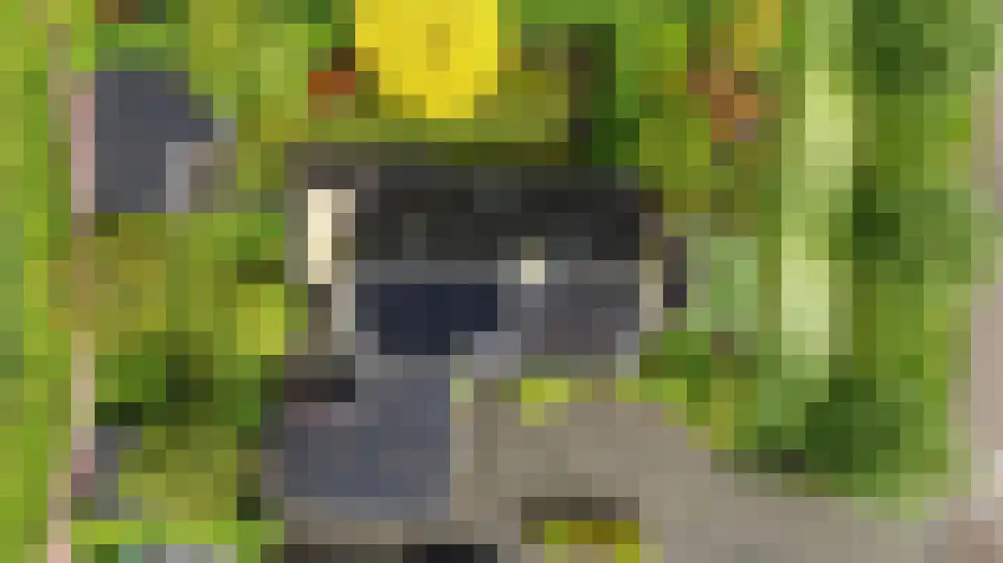 Slauerhofflaan 1 c Raamsdonksveer thumbnail 47