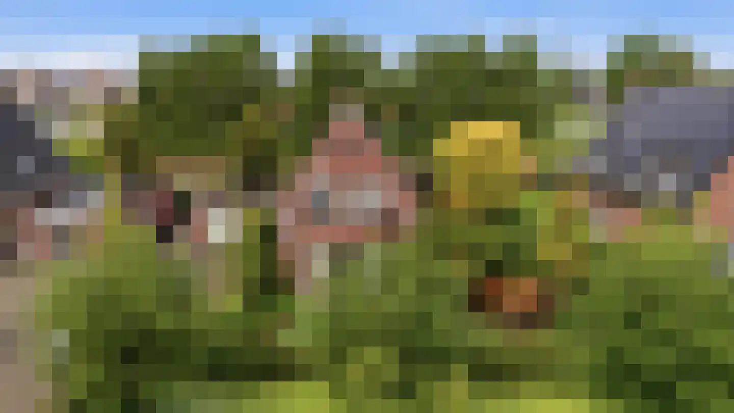 Slauerhofflaan 1 c Raamsdonksveer thumbnail 5