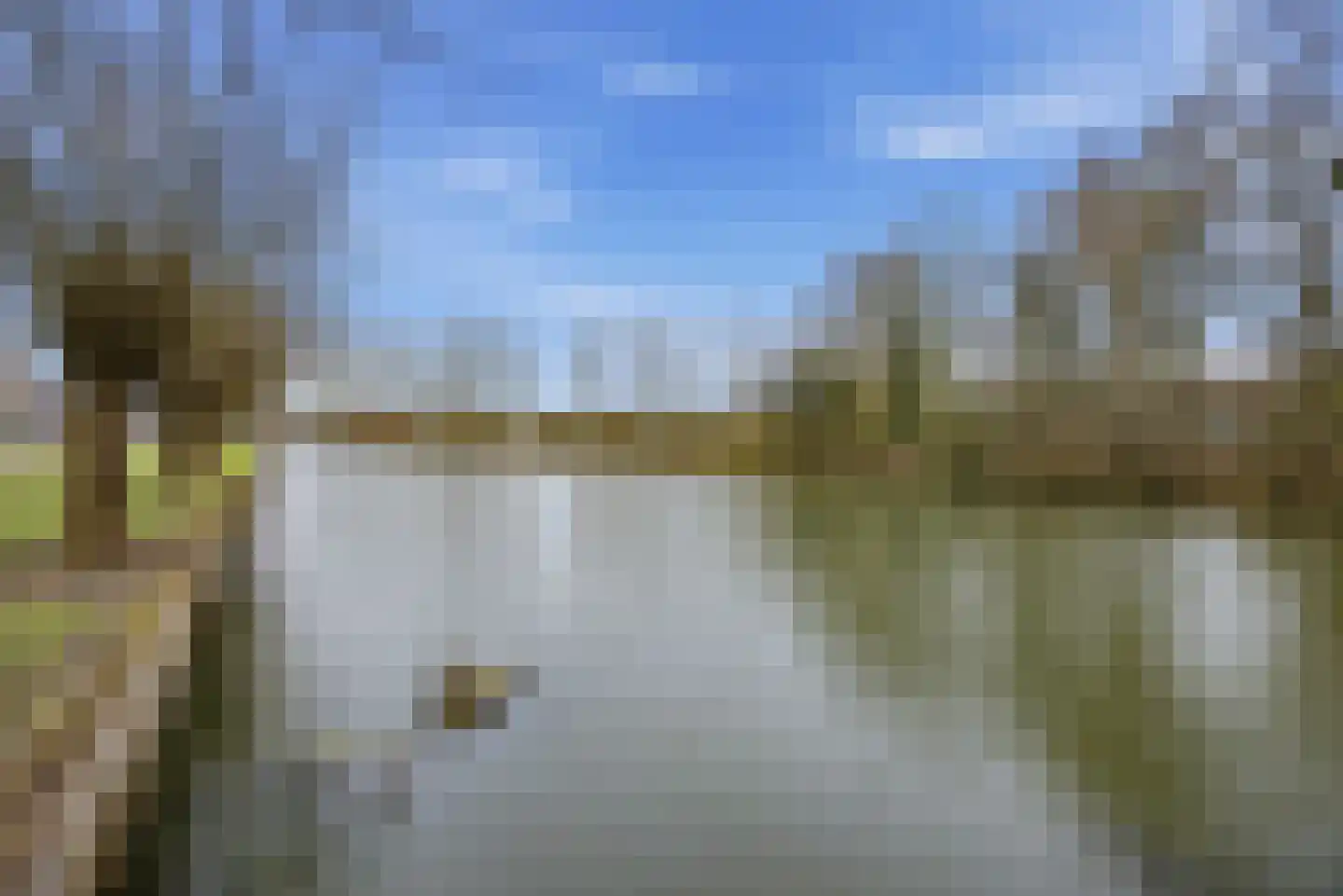 Slauerhofflaan 1 c Raamsdonksveer thumbnail 50