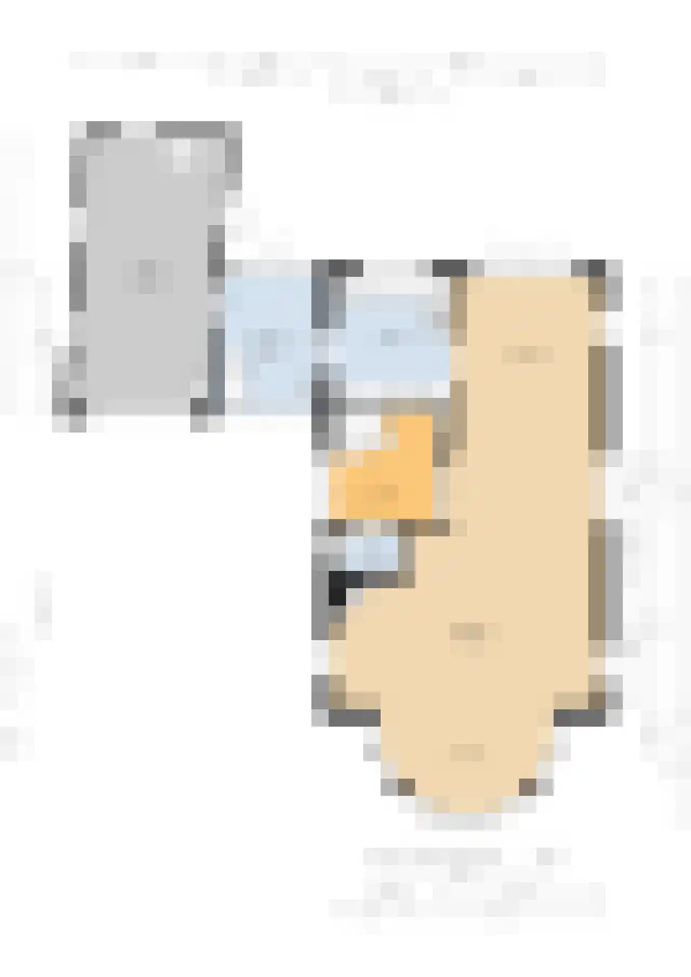 Slauerhofflaan 1 c Raamsdonksveer thumbnail 51