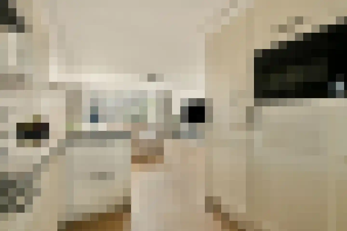 Slauerhofflaan 14 Uithoorn thumbnail 11