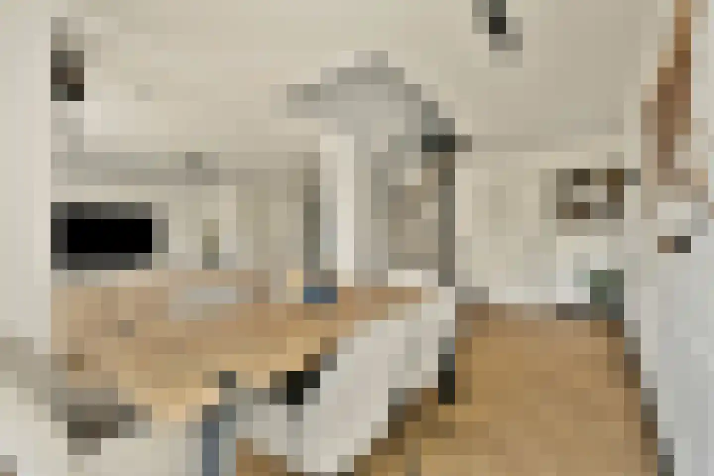 Slauerhofflaan 14 Uithoorn thumbnail 13