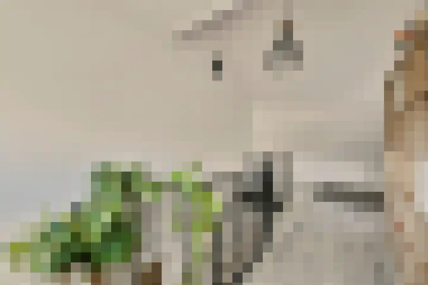 Slauerhofflaan 14 Uithoorn thumbnail 17