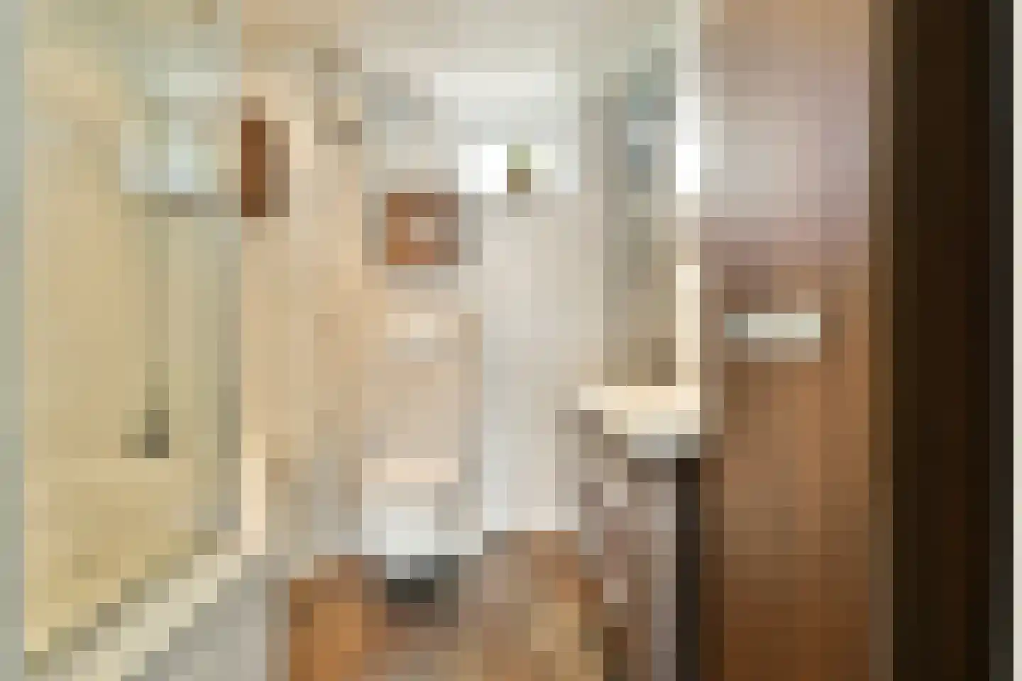 Slauerhofflaan 14 Uithoorn thumbnail 20