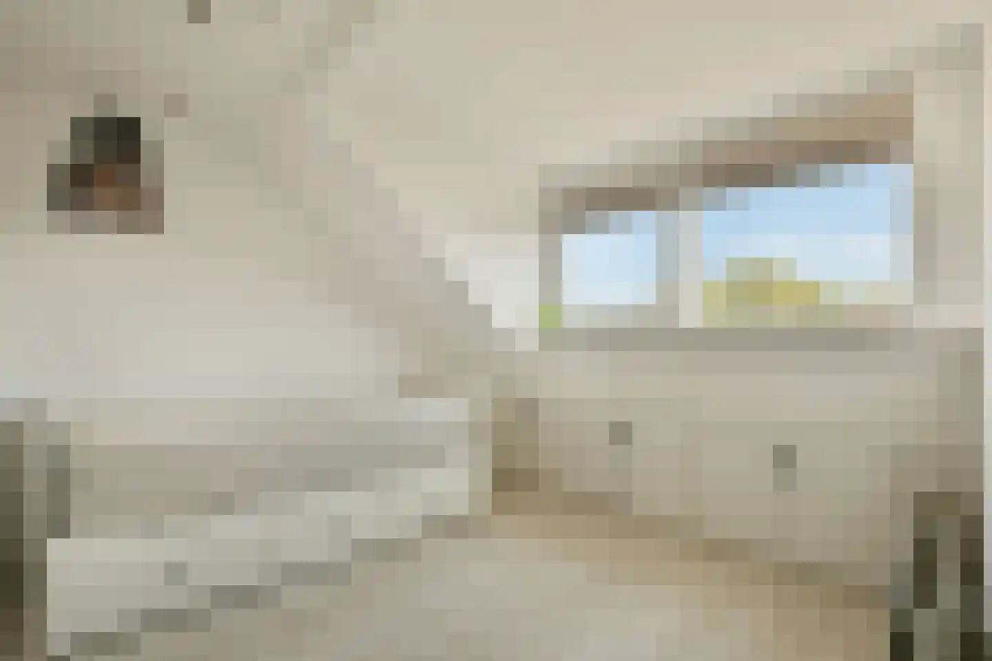 Slauerhofflaan 14 Uithoorn thumbnail 27