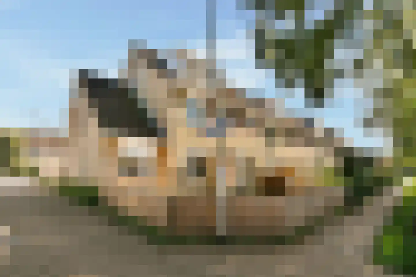 Slauerhofflaan 14 Uithoorn thumbnail 32