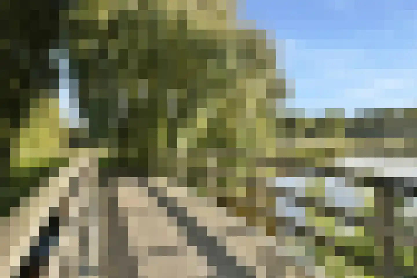 Slauerhofflaan 14 Uithoorn thumbnail 33