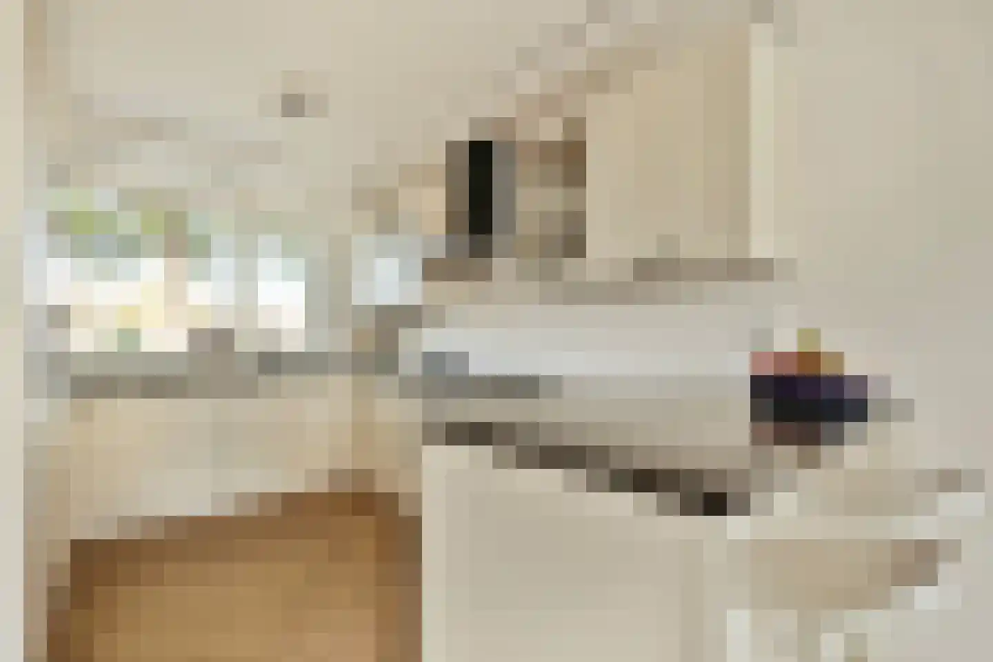 Slauerhofflaan 14 Uithoorn thumbnail 4