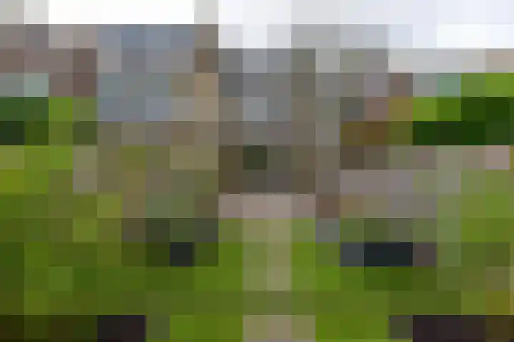 Slauerhofflaan 45 Uithoorn thumbnail 11