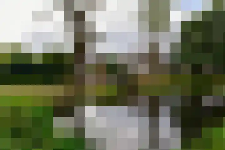 Slauerhofflaan 45 Uithoorn thumbnail 30