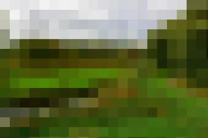Slauerhofflaan 45 Uithoorn thumbnail 31