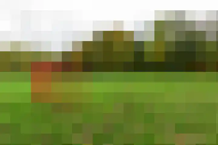 Slauerhofflaan 45 Uithoorn thumbnail 32