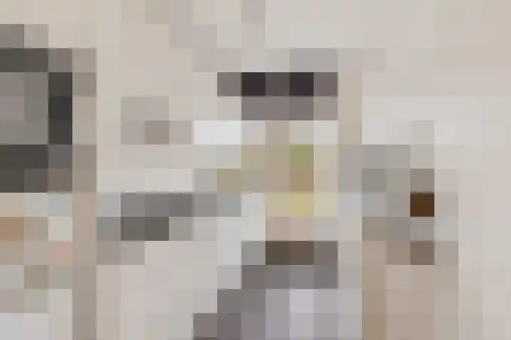 Slauerhofflaan 5 Haren Gn thumbnail 11