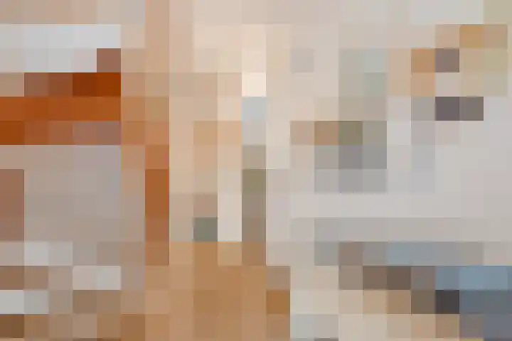 Slauerhofflaan 5 Haren Gn thumbnail 13