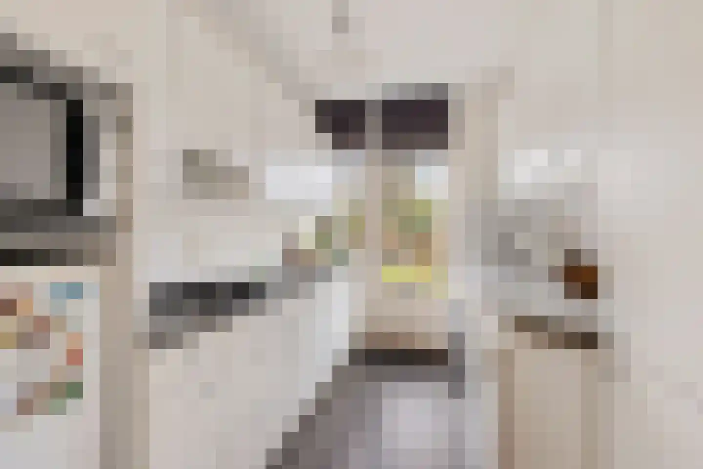 Slauerhofflaan 5 Haren Gn thumbnail 13