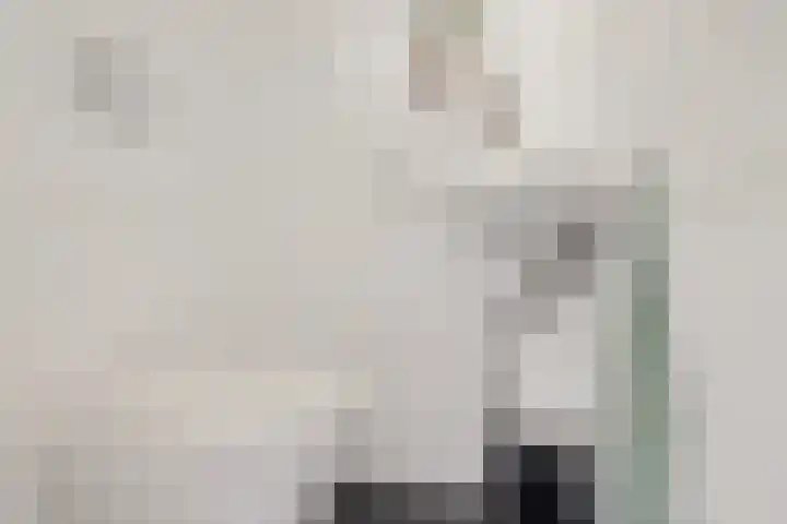 Slauerhofflaan 5 Haren Gn thumbnail 14