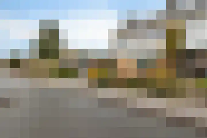 Slauerhofflaan 5 Haren Gn foto 2