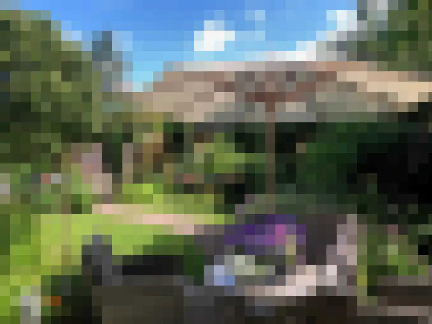 Slauerhofflaan 5 Haren Gn foto 3
