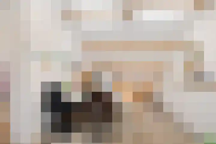 Slauerhofflaan 5 Haren Gn thumbnail 30