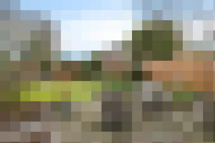 Slauerhofflaan 5 Haren Gn thumbnail 31