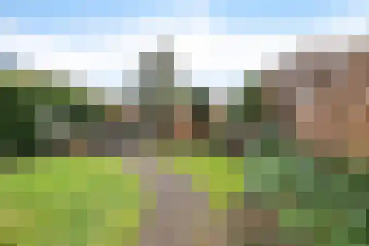 Slauerhofflaan 5 Haren Gn thumbnail 32
