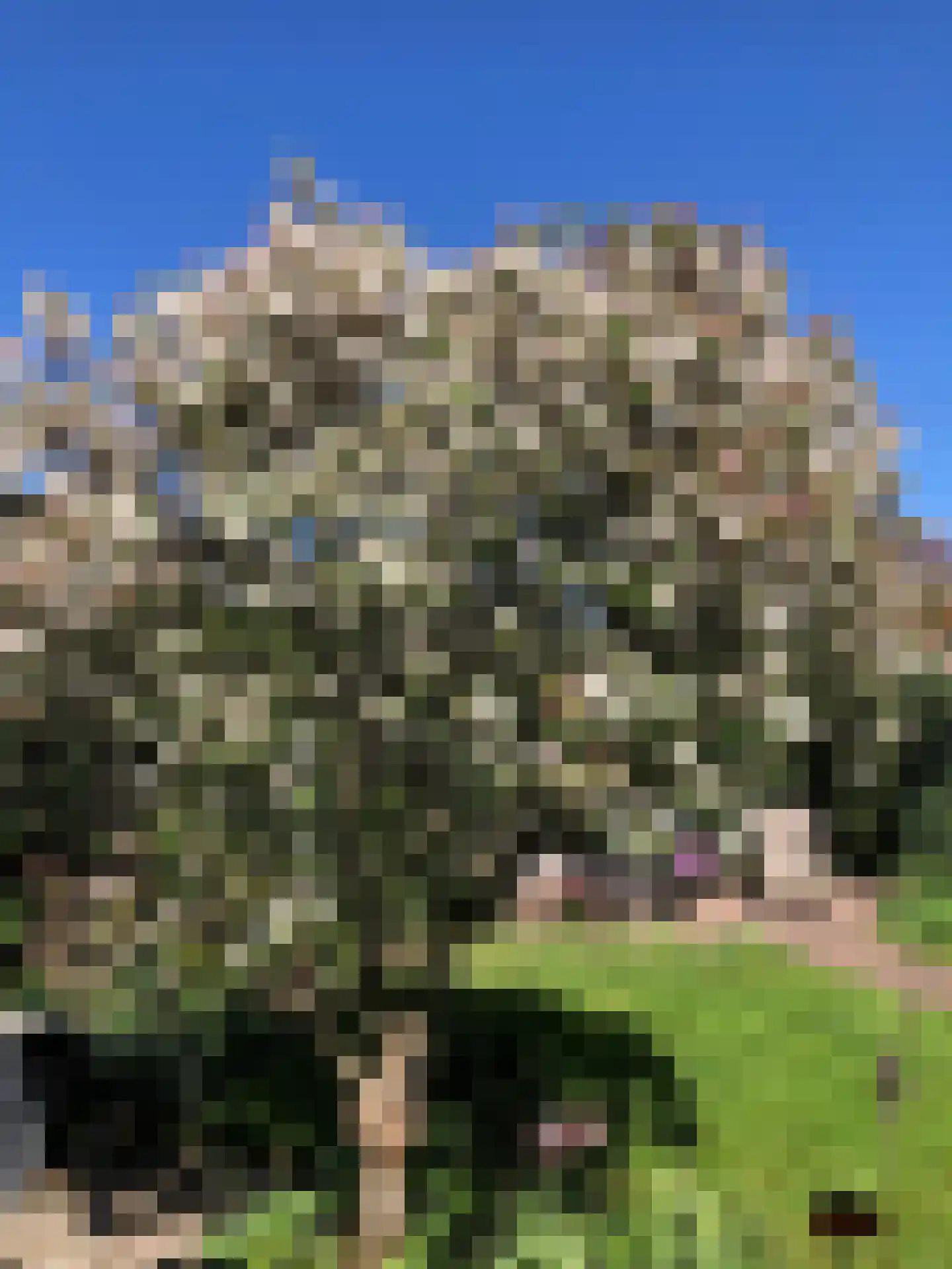 Slauerhofflaan 5 Haren Gn thumbnail 34