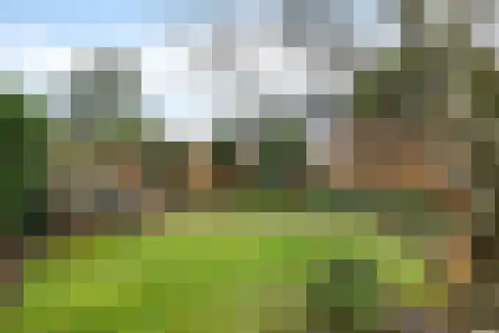 Slauerhofflaan 5 Haren Gn thumbnail 34
