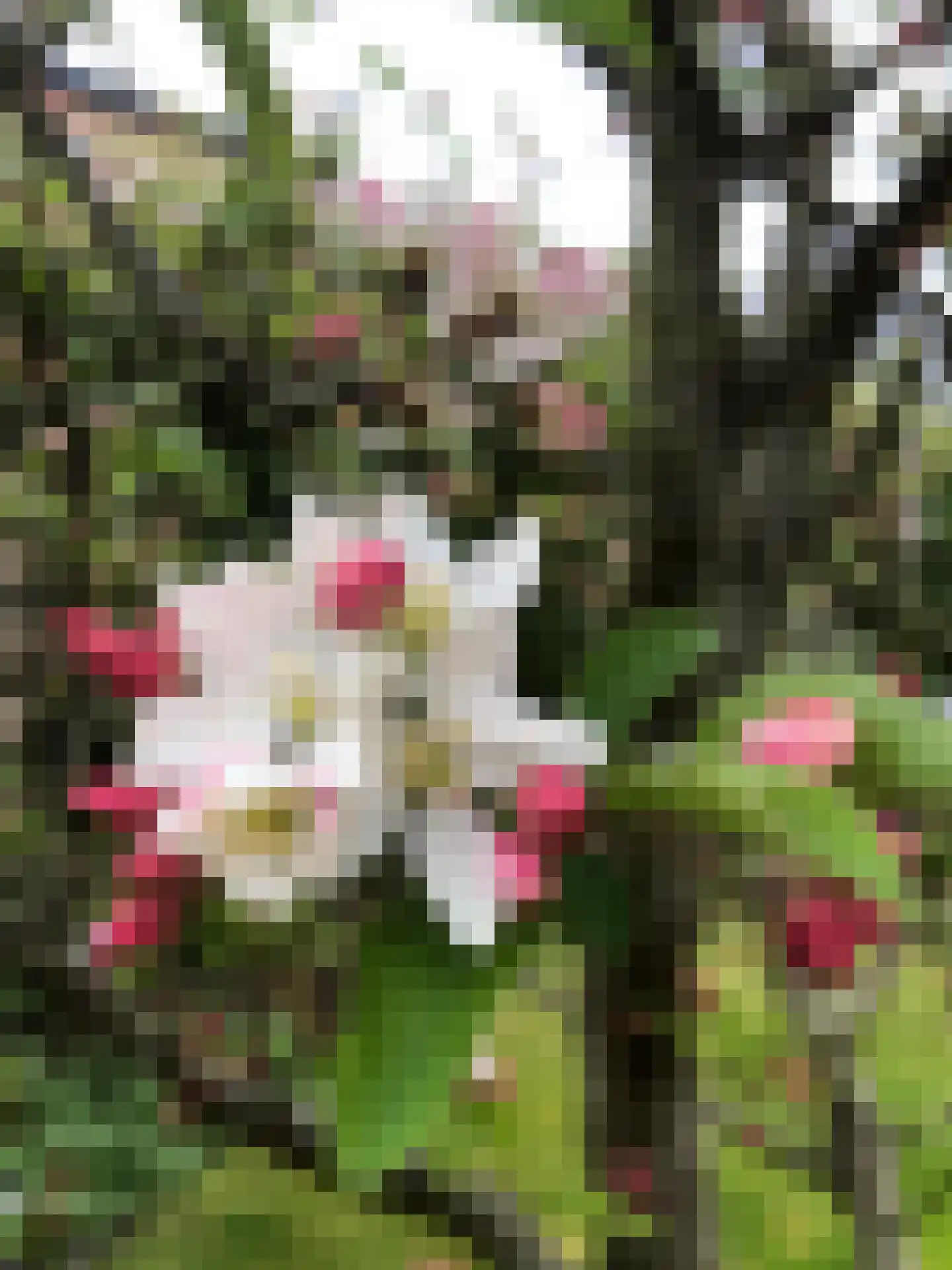 Slauerhofflaan 5 Haren Gn thumbnail 35