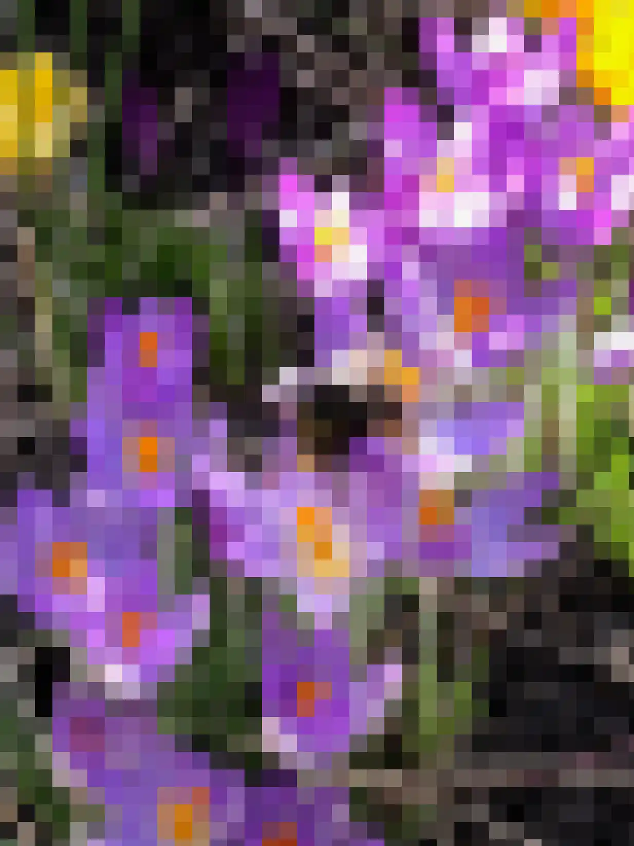 Slauerhofflaan 5 Haren Gn thumbnail 4