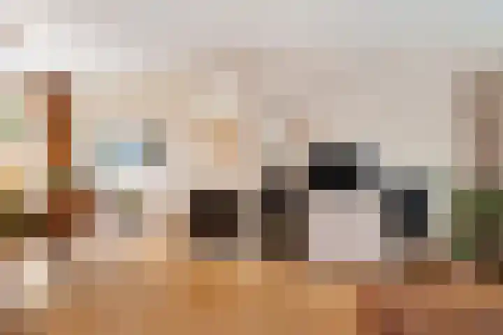 Slauerhofflaan 5 Haren Gn thumbnail 6
