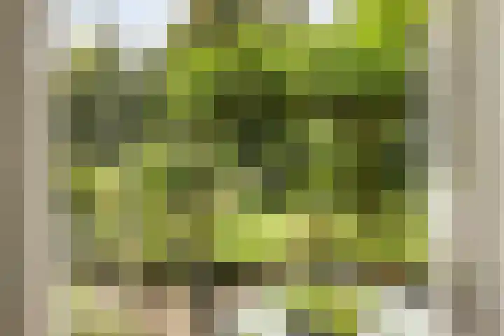 Slauerhofflaan 80 Haren Gn thumbnail 23