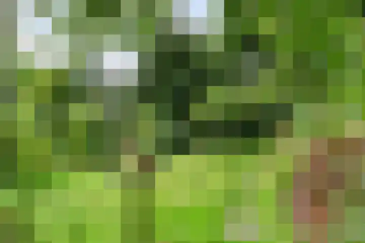 Slauerhofflaan 80 Haren Gn thumbnail 43