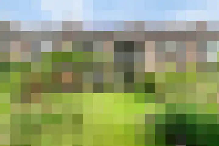 Slauerhofflaan 80 Haren Gn thumbnail 45