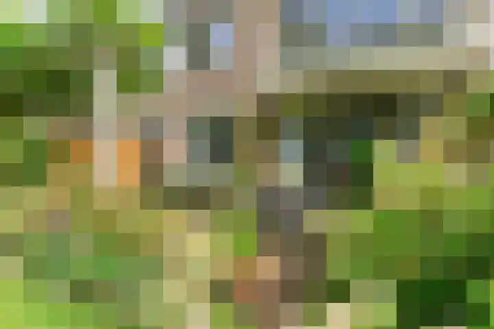 Slauerhofflaan 80 Haren Gn thumbnail 47