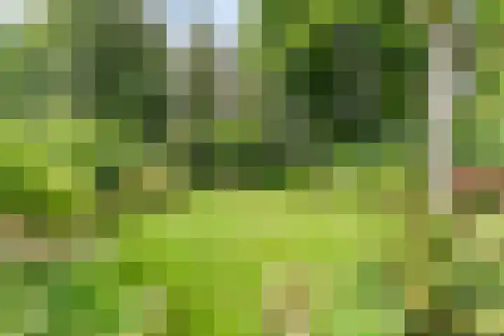 Slauerhofflaan 80 Haren Gn thumbnail 5