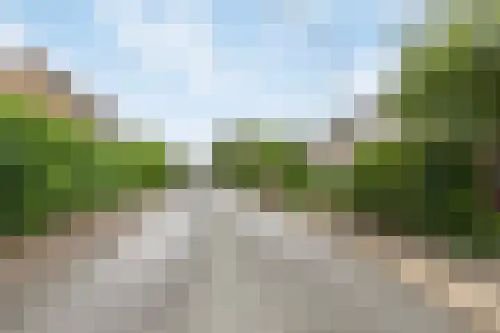 Slauerhofflaan 80 Haren Gn thumbnail 9