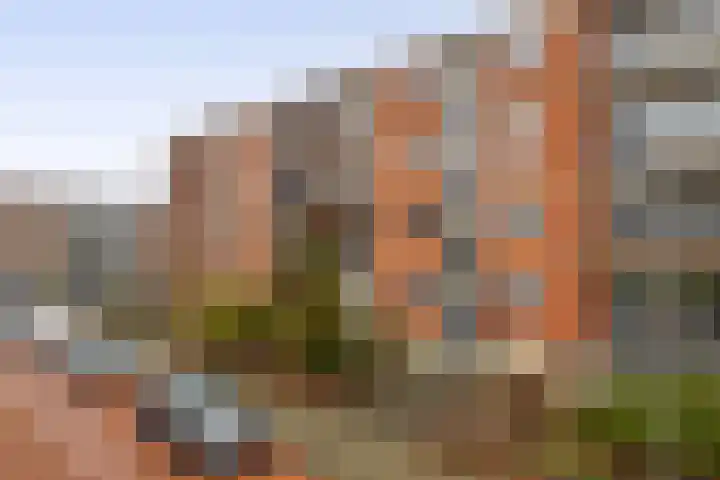 Slauerhoffstraat 1 A Spijkenisse thumbnail 6