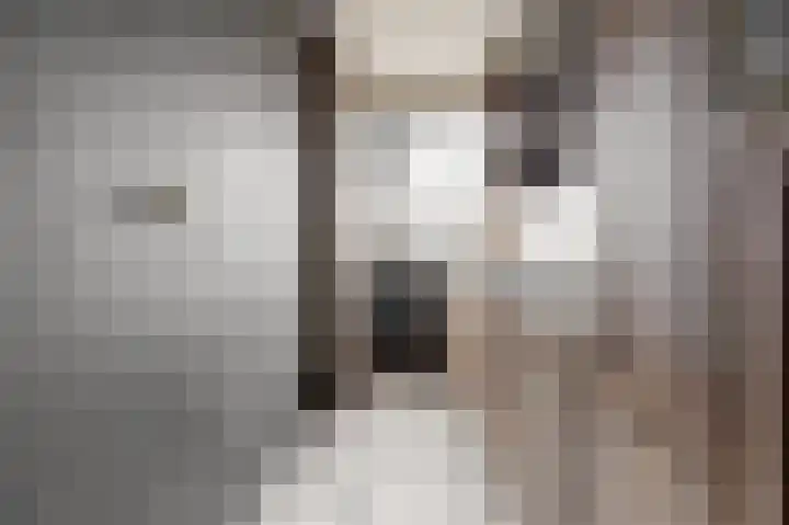 Slauerhoffstraat 1 Spijkenisse thumbnail 12