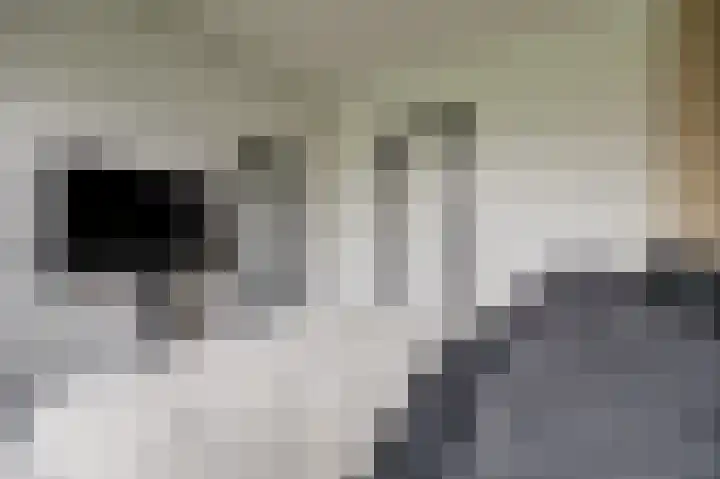 Slauerhoffstraat 1 Spijkenisse thumbnail 15