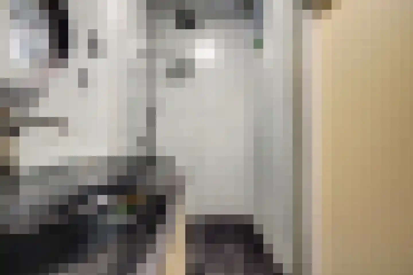 Slauerhoffstraat 1 Spijkenisse thumbnail 19