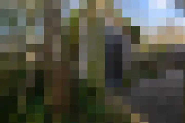 Slauerhoffstraat 1 Wormerveer thumbnail 27