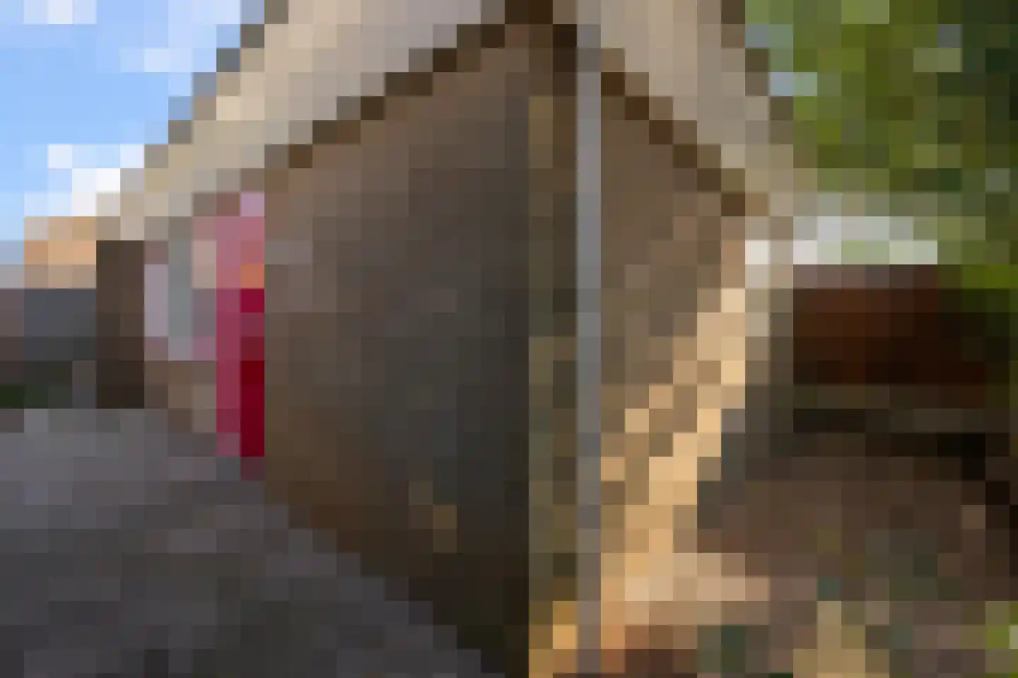 Slauerhoffstraat 1 Wormerveer thumbnail 28
