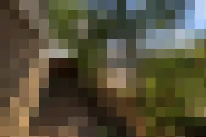 Slauerhoffstraat 1 Wormerveer thumbnail 29
