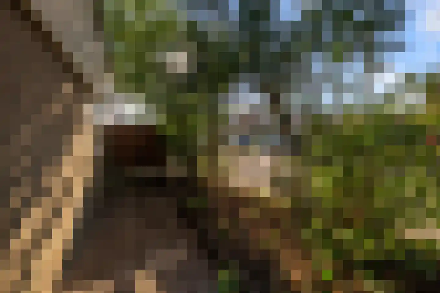 Slauerhoffstraat 1 Wormerveer thumbnail 29