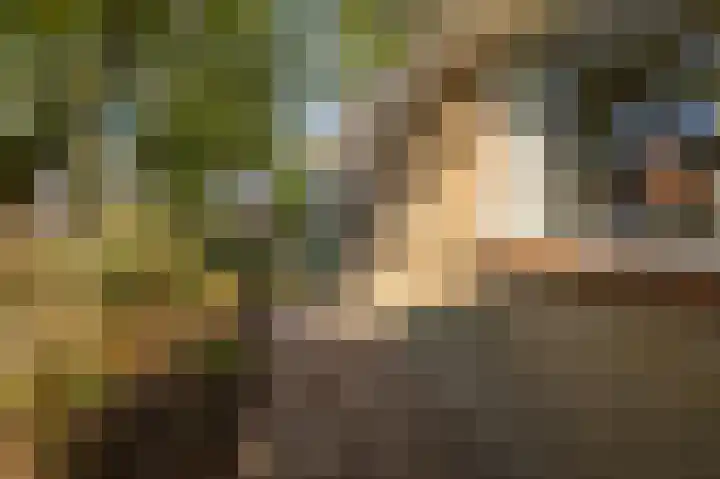 Slauerhoffstraat 1 Wormerveer thumbnail 30